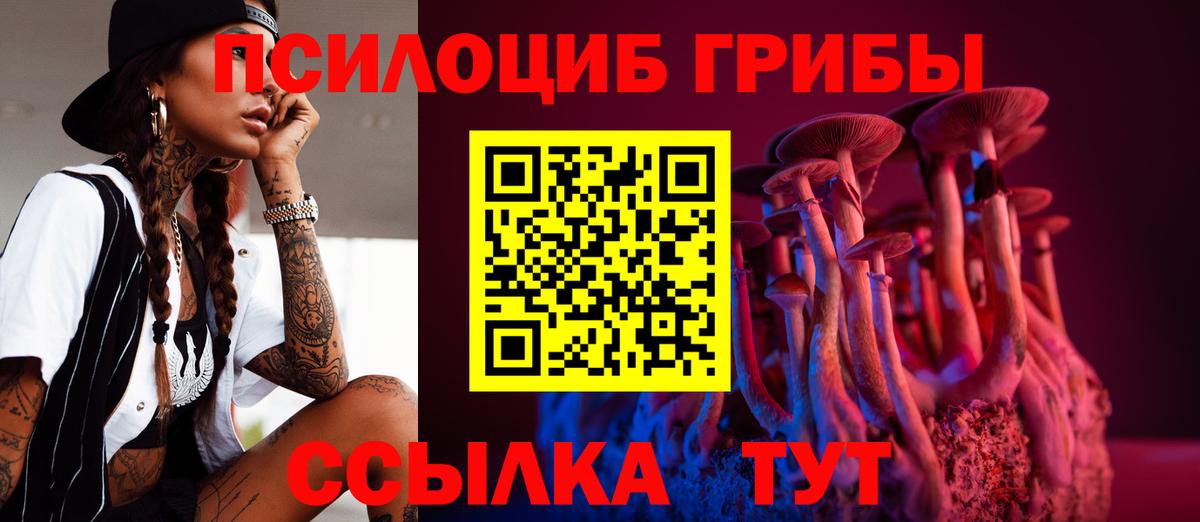 Галлюциногенные грибы мицелий Кисловодск